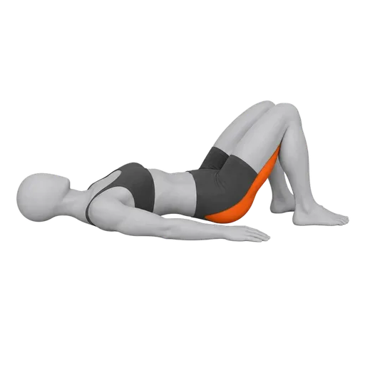 Glute Bridge — looping transparent animation with the optional Female character